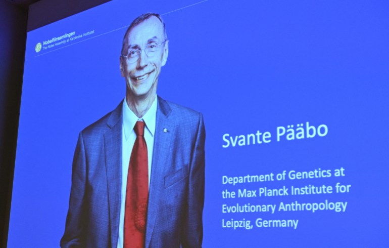 A screen shows the winner of the 2022 Nobel Prize in Physiology or Medicine Sweden's Svante Paabo