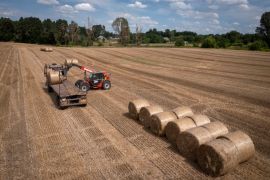 A tractor collects straw on a field in a private farm in Zhurivka, Kyiv region, Ukraine [File: Efrem Lukatsky/AP Photo]
