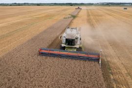 Harvesters collect wheat in the village of Zghurivka, Ukraine [Efrem Lukatsky/AP]