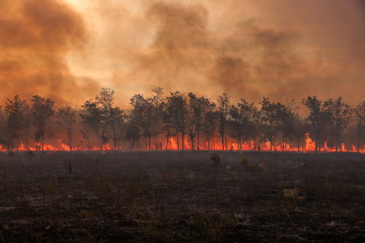 Flames and smoke rise from a line of trees as a wildfire burns at the Dadia National Park in the region of Evros, Greece.