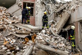A dog stands on rubble as rescuers work at the site of a destroyed building during a Russian missile attack in Chernihiv [Valentyn Ogirenko/Reuters]