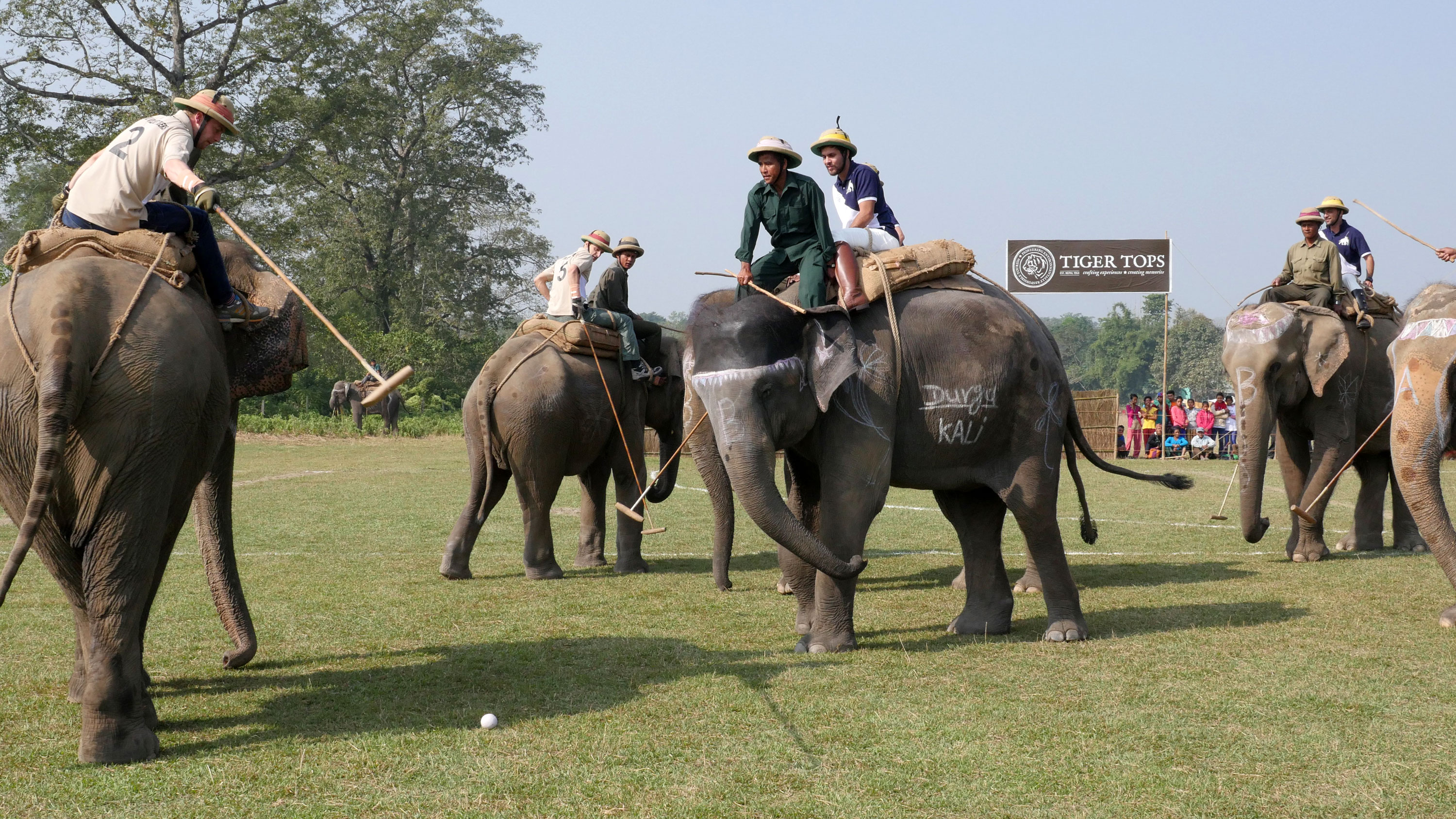 elephant polo game को छविको परिणाम