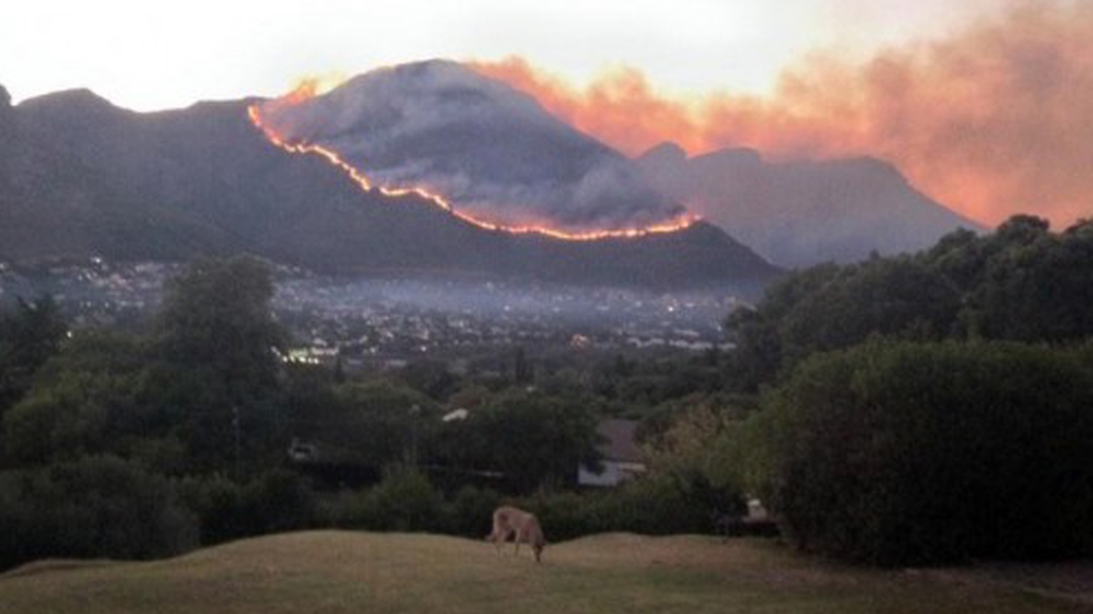 Table Mountain catches fire | South Africa News | Al Jazeera
