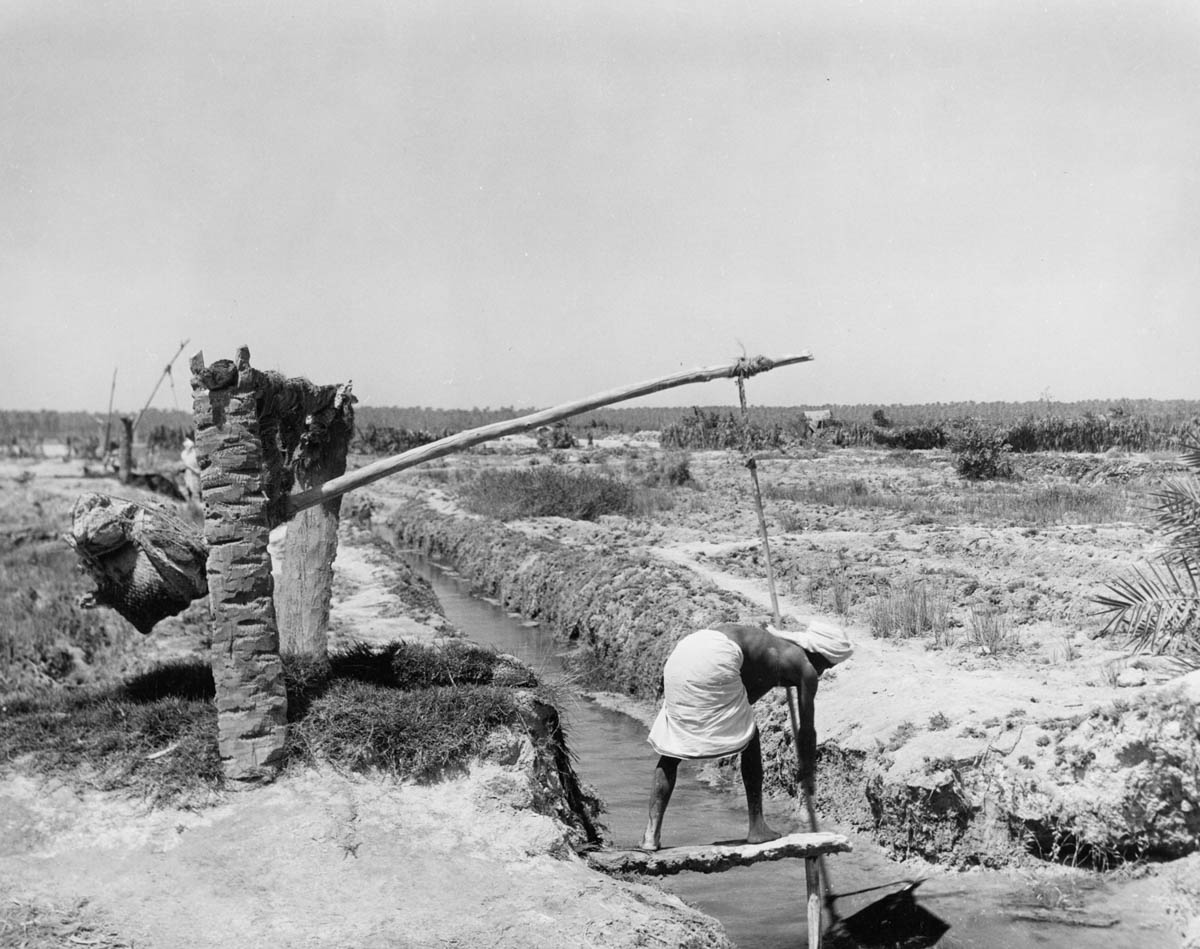 Artisan wells, Qatif, Saudi Arabia, 1950. [ACS/Arab Image Foundation]