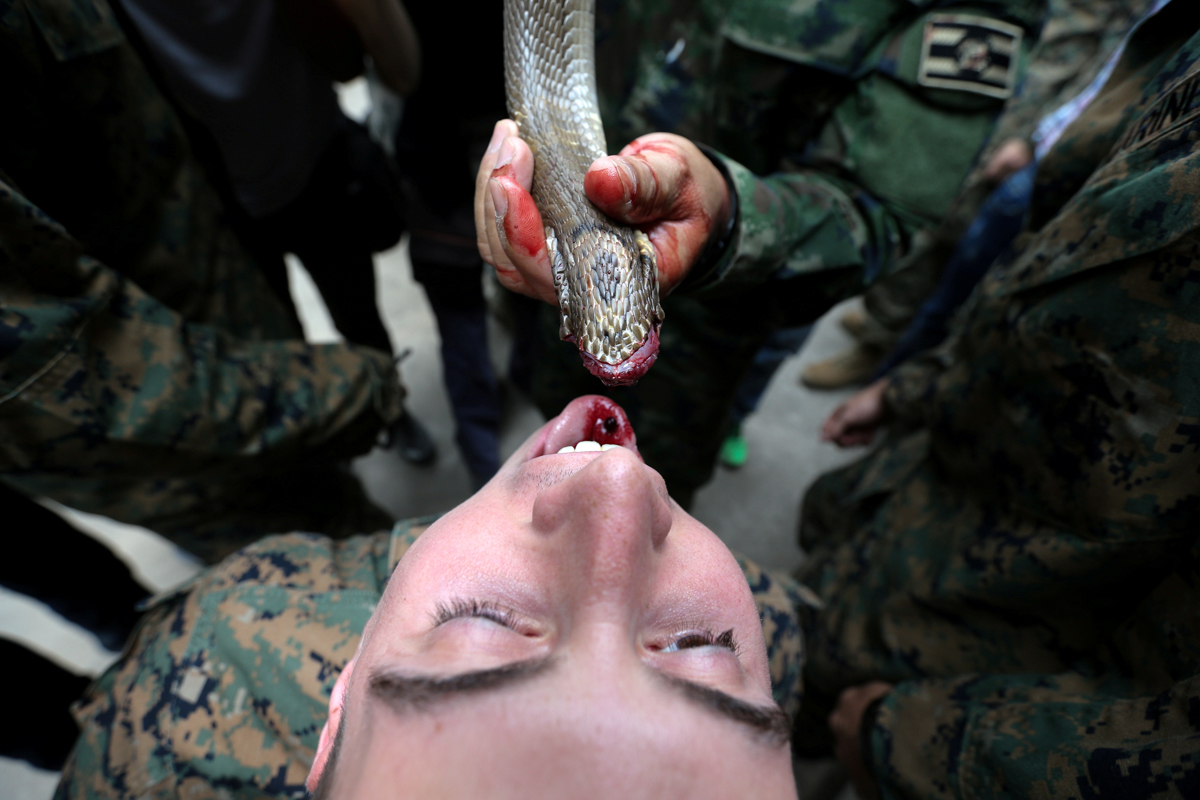 AUS Marine drinks the blood of a cobra during a jungle survival exercise - as part of the 'Cobra Gold 2018' (CG18) joint military exercise - at a military base in Chonburi, Thailand. [Athit Perawongmetha/Reuters]