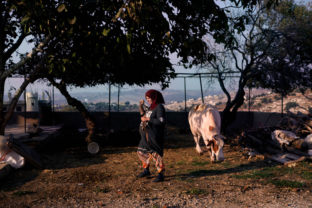 Lebanese housewife Hyam, 34, leads her cow in Wadi Khaled, in northern Lebanon. Because of its proximity to some of the early Syrian conflict hotspots, Wadi Khaled was among the first Lebanese regions to receive Syrian refugees in 2011. 'We (Lebanese families) have hosted Syrians in our houses. We only wish them a peaceful life in their country.' Despite challenges and tensions, some Lebanese express significant levels of solidarity with Syrians suffering the effects of the war. Some have housed Syrian families for free, paid for their healthcare, or provided them with food. [Diego Ibarra Sanchez/SaferWorld]