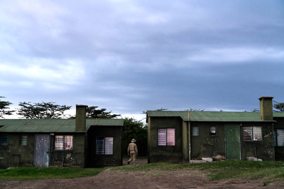 At the end of the day, one of the chimpanzee keepers walks back to his house in the Ol Pejeta Conservancy, home of the Sweetwaters Chimpanzee Sanctuary in Laikipia County. [Adriane Ohanesian/Al Jazeera]