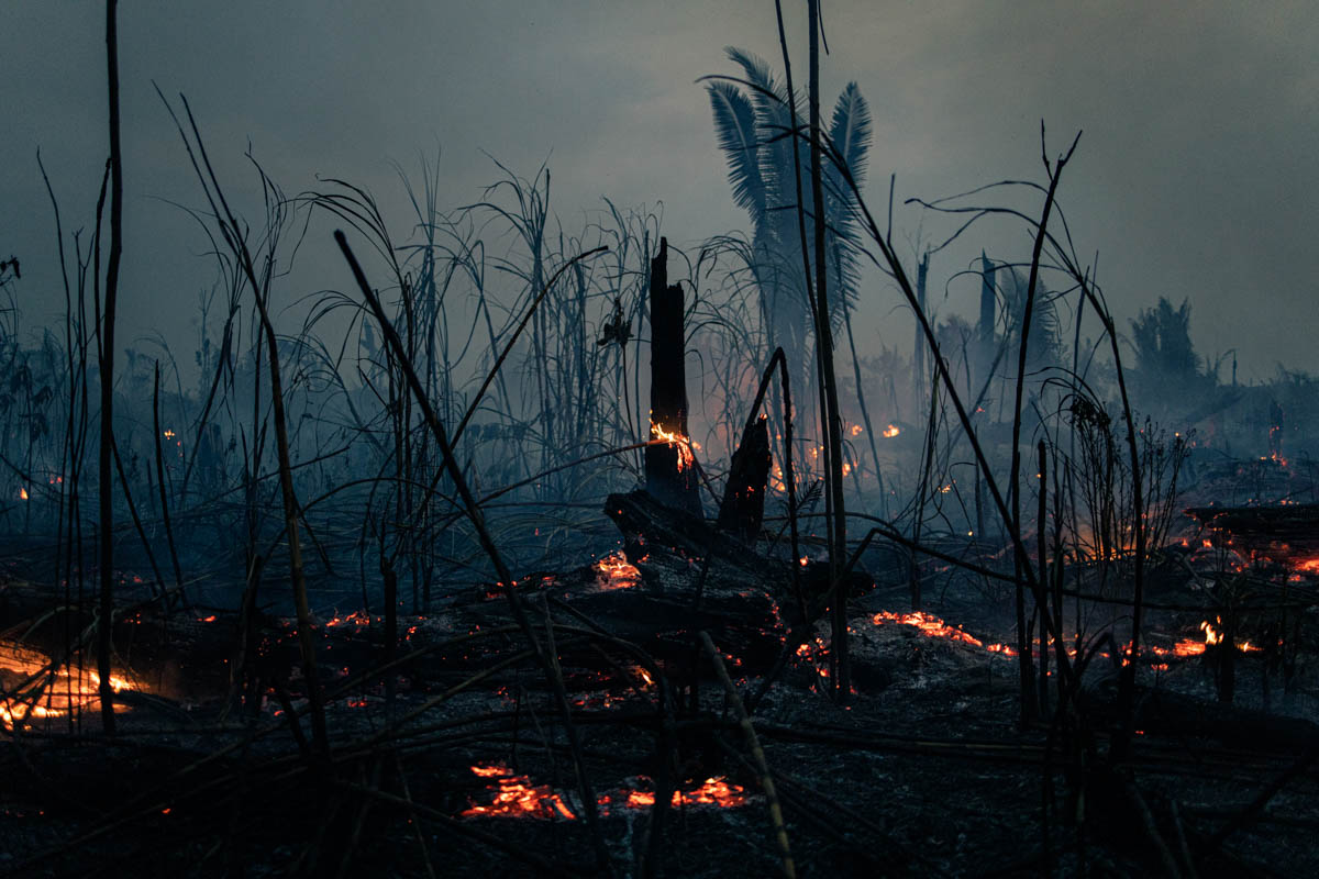 A fire in the province of Porto Velho in Rondonia, Brazil, one of the most deforested parts of the Amazon. [Fabio Bucciarelli/Al Jazeera]