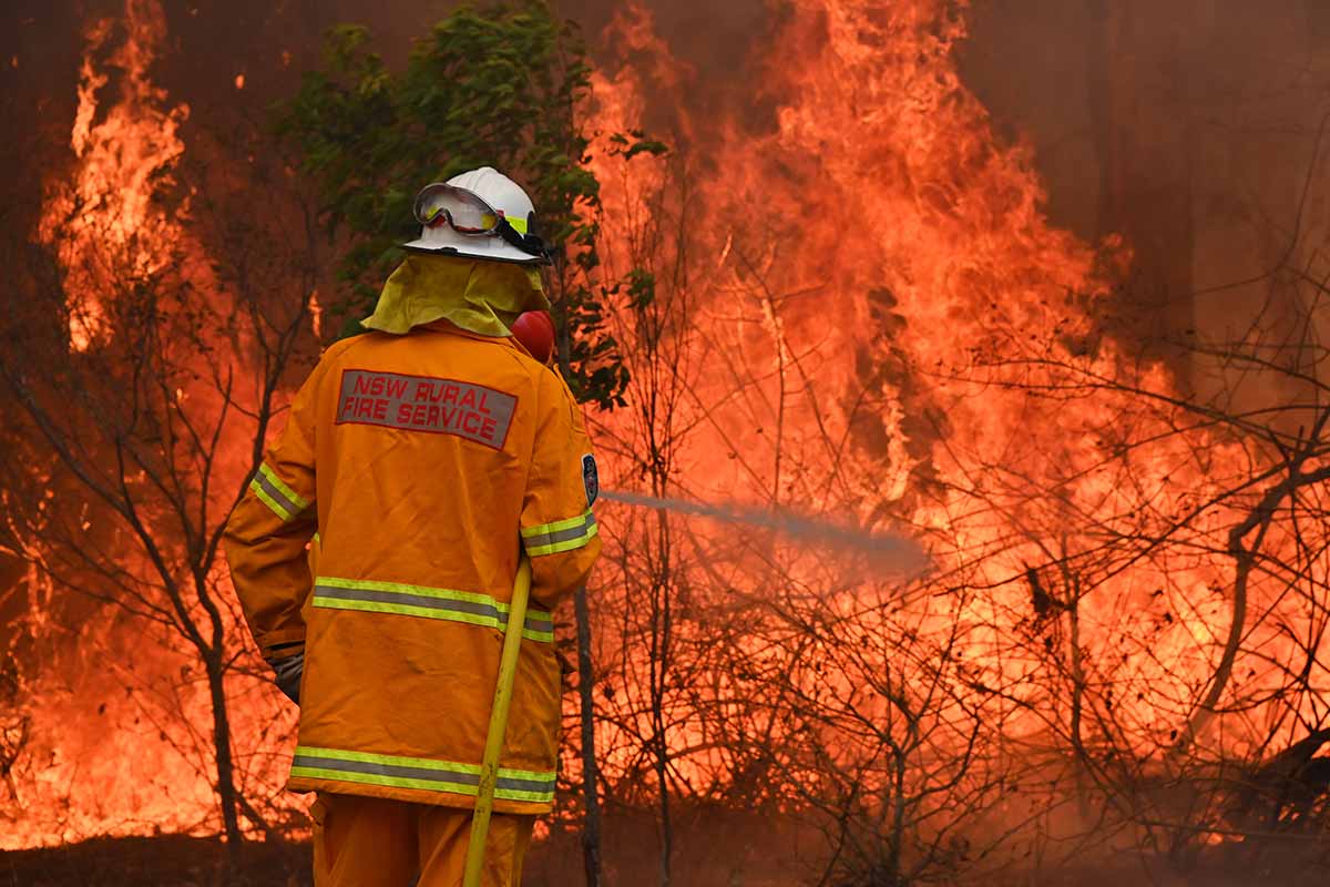 Zjarrfikësit trajtojnë një zjarr të madh për të shpëtuar një shtëpi në Taree, në veri të Sidneit, pasi ata përpiqen të përmbajnë dhjetëra flakë të tërbuara në shtetin Australian të New South Wales.  [Peter Parks / AFP]