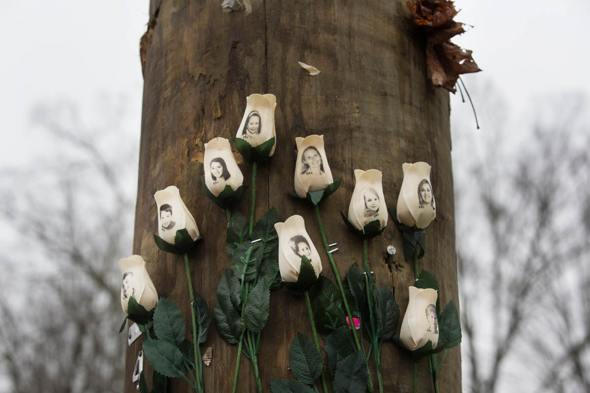 White roses printed with images of the victims of the Sandy Hook tragedy are placed on a tree in the town centre after a mass shooting at the school on December 17 2012. [Lisa Wiltse/Corbis/Getty Images]