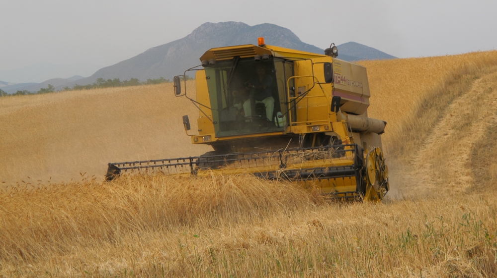 In Greece A Rebel Organic Farm Goes Against The Grain