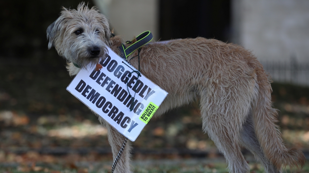 An anti-Brexit placard is attached to a dog in London, Britain, September 4, 2019.