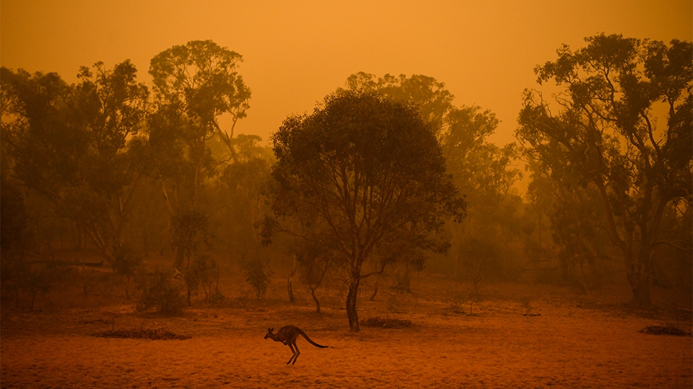 'Why are we still struggling?' ask Australia bushfire victims thumbnail
