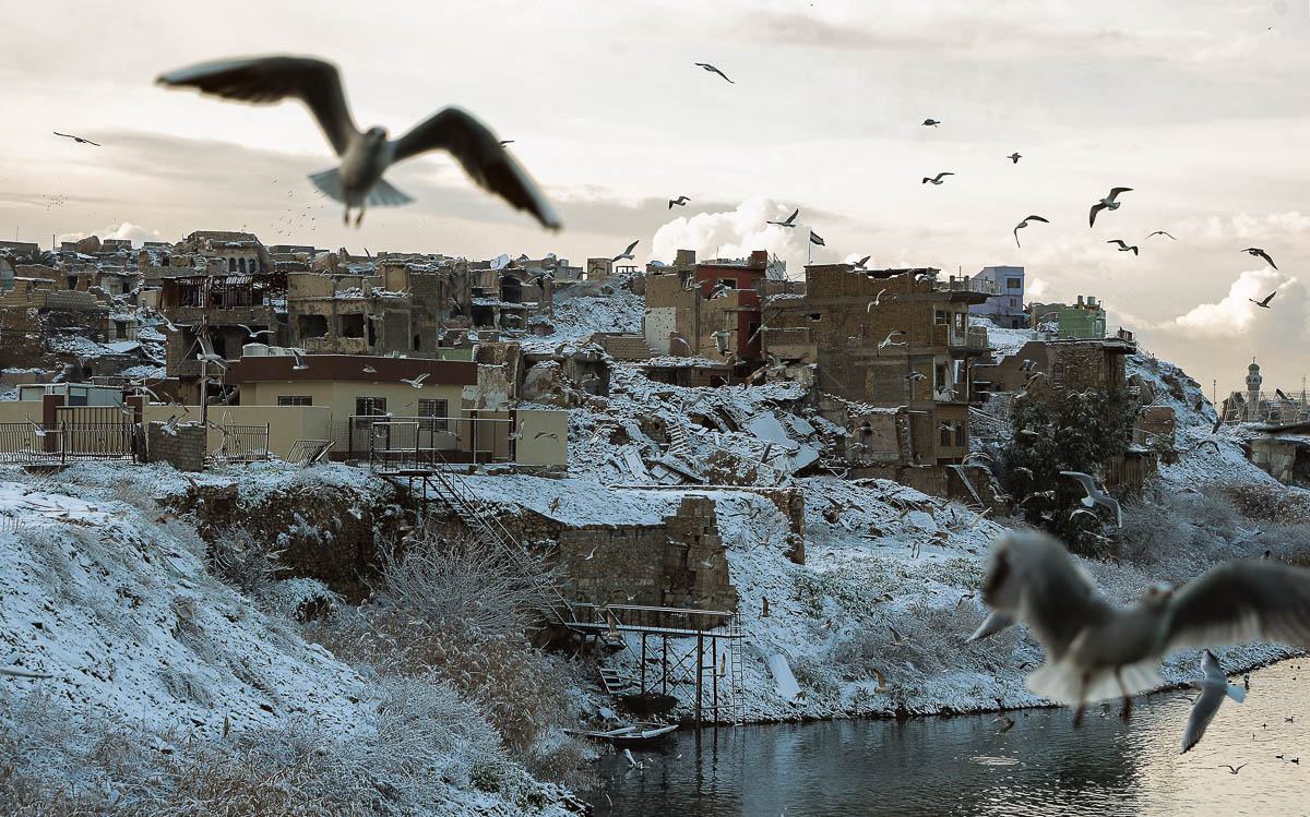 Pulat fluturojnë mbi lumin Tigris pasi brigjet e tij janë të mbuluara me dëborë pas një rrëmujë në qytetin e vjetër të qytetit verior të Irakut, Mosul.  [Zaid Al-Obeidi / AFP]