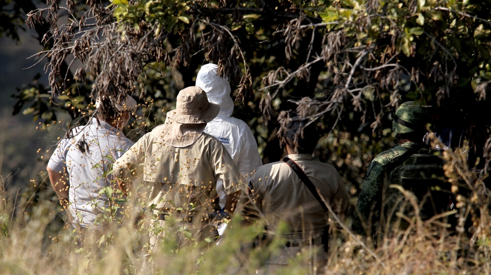 Remains of at least 25 bodies found in Mexico mass grave thumbnail