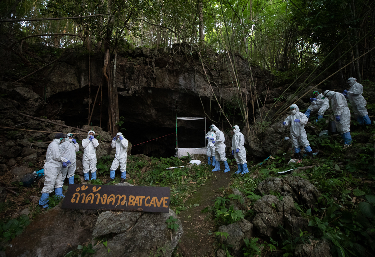 Researchers put on personal protective equipment and get ready to go inside a cave in Sai Yok National Park. [Sakchai Lalit/AP Photo]