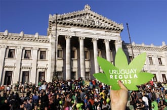 Managing marijuana in Uruguay