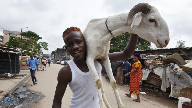 A man carries a sheep during the Eid al-Adha celebrations in Abidjan, Ivory Coast [Sia Kambou/AFP]