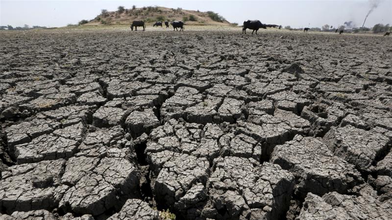 India's five warmest years on record fell in the last 10 years, with 2016 being the hottest [File: Amit Dave/Reuters]