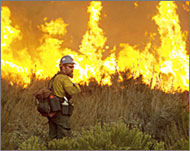 A firefighter walks past a wall of flames in San Bernadino