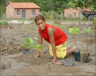 Bito, 12, plants cashew in the Salvador camp