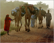 The Darfur conflict has killed 50,000 and displaced 1.4 million  