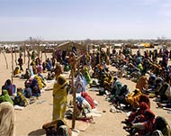 The Darfur conflict has made thousands homeless 