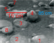 Titan has been sending images since its landing on 14 January