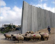 Jewish settlers were said to havetried to poison Palestinian sheep