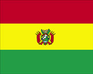 The Bolivian flag