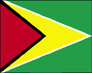 The Guyana flag
