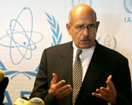 ElBaradei to submit compliancereport by 3 September