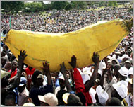 Kibaki's campaign uses the banana as a symbol