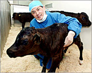 A trained veterinarian, Hwang isa national hero in South Korea