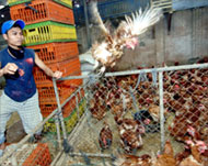 The H5N1 virus is now endemic inpoultry in SE Asia and beyond