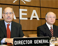 ElBaradei hailed the US-India deal 