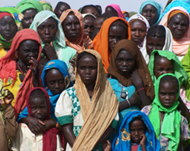 Fighting in Darfur displaced hasdisplaced 2.5 million 