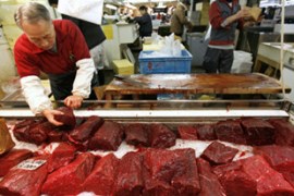 whaling, japan, whale meat
