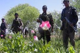 Afghan police, opium poppy