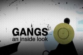 Gangs title image