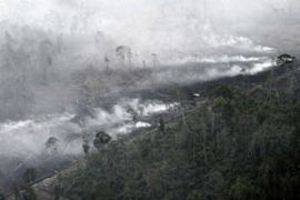 Forest fire outside Pekanbaru, Indonesia