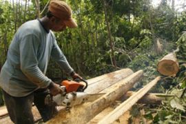 climate logging aceh