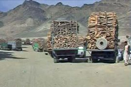afghan desert timber