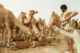 Sahrawi nomad