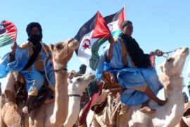 morocco, western sahara, polisario front