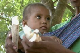 west timor drought famine hunger
