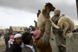 Sheep passed across Rafah border
