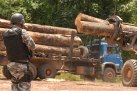 Brazil logging operation