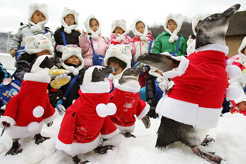 South korea Christmas