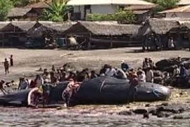 indonesia whaling culture youtube - step vaessen pkg